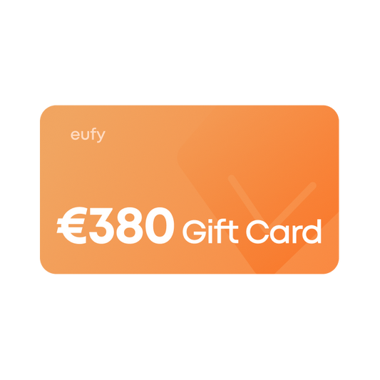 Giftcard (€380)